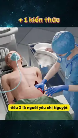 Chị Nguyệt đừng như z nữa nha #congmotkienthuc #xuhuong #fypシ゚ #haihuoc #trending 