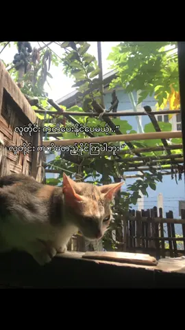 #lyrics #xyzbca #viral #foryou #crd 