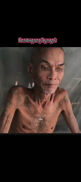 រកឃើញគ្នាគាត់ខ្លះហើយ☠️#army 