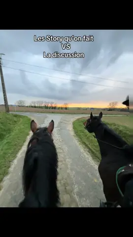 Oups😂#pourtoipage #foryou #pourtoi #horse #pourtoii @Odrina @doudou_mrzg 