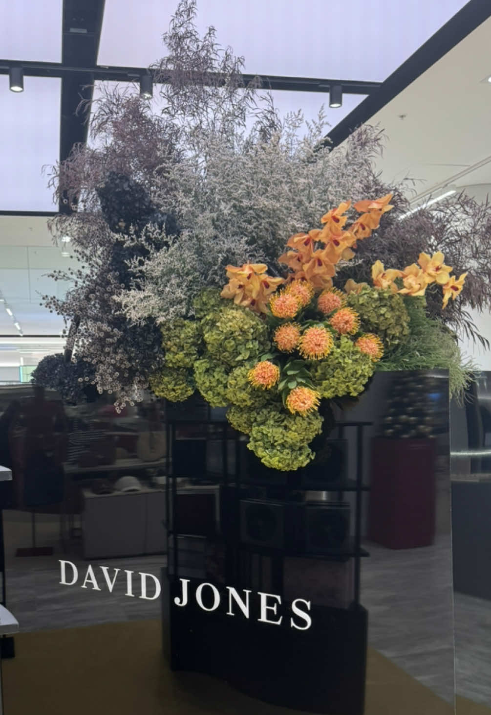 Come with me to the reopening of @David Jones at the newly renovated @Chatswood Chase  Definitely my new favourite DJ’s location, the quality of this store was unmatched! So many incredible designers and brands that I love all in the one place!  I will be back!!  #davidjones #chatswoodchase #shoppinghaul #fyp #fashiontiktok 