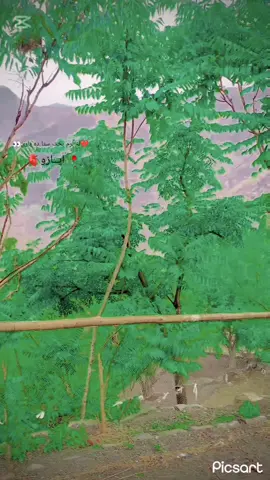 @🎶🎼🌻Տᕱ尺𝐾ᕱ尺𝑶🌻🎼🎶 نــــــــــہ  لـــــرم بخت  ستا دہ یارئ @Comrade @جلالو حریفال🍂 