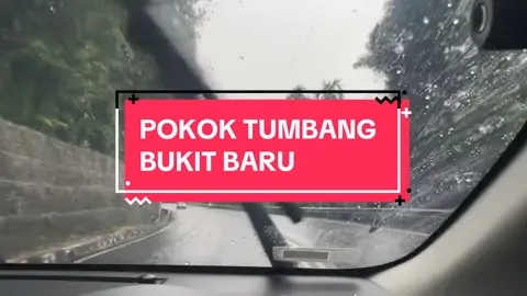 Rasa nk record naik bukit ni, sbb konon2 nk healing mcm naik cameron, hujung2 😭😭😭😭 ku kluaq kereta dlu tgk ada pokok dak atas belah keta aku ni tkut sat bersambung tumbang plk satg .. tgk selamat baru masuk gostan keta patah balik.. fuhhhh… Allah syg lgi ni. Hati2 semua musim2 hujan ni #pokoktumbang #penang #allahuakbar #allahummashollialasayyidinamuhammad 