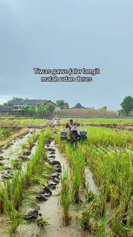 Klebus                                                                                              #tanibalapteam #petanimuda #ponorogo24jam #traktorsawah #fypシ゚ 