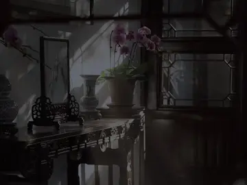 Song: Đào hoa nặc #nhactrungquoc #lyrics #viral 