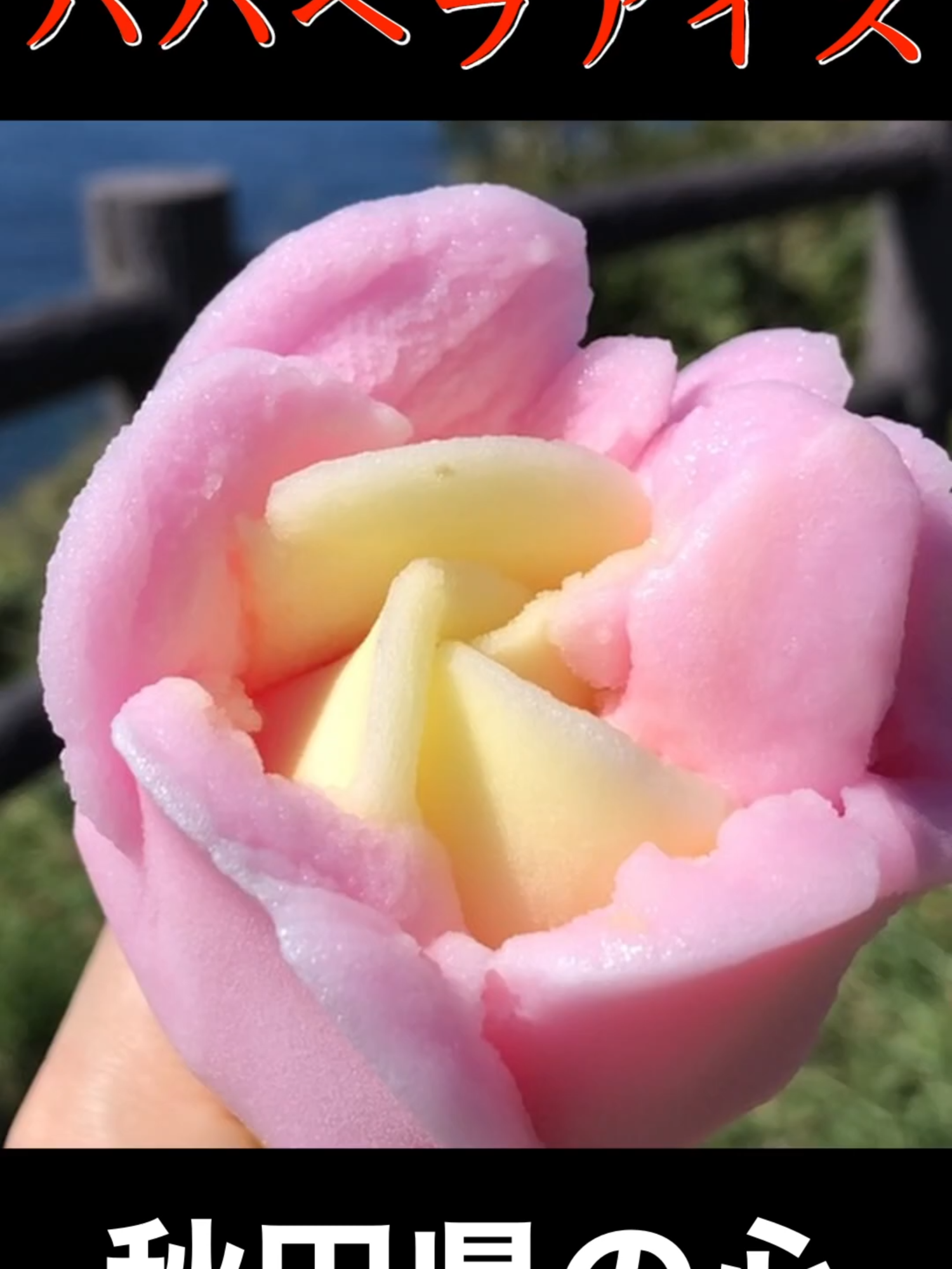 c #秋田港ポートタワーセリオン #道の駅 #秋田県 #ババヘラアイス ★★★全編はこちらから★★★︎ ・ジョワ旅（旅ポータル）公式サイト ・Amazon プライム・ビデオ