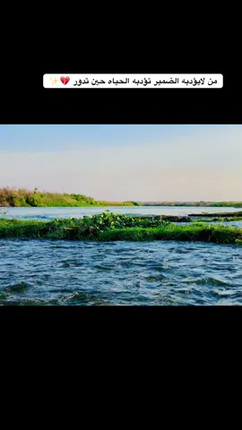 من لايؤدبه الضمير تؤدبه الحياه حين تدور 💔✨#تصويري📷 #عباراتكم_الفخمه📿📌 