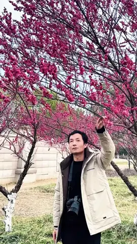 hướng dẫn tạo dáng chụp ảnh với hoa đào  #chupanh #photography #xh