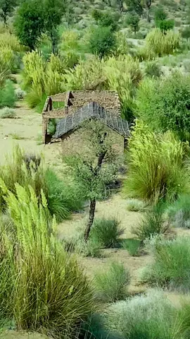 Thar ❤️‍🔥 | #thar #tharparkar 