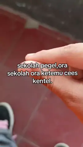 rungsing😭😭#foryoupage #cskentell🤙😎  #fypage #menerimafblb#ramein 