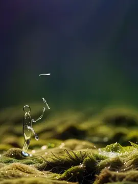 #سرائیکی_سٹیٹس،سرائیکی۔سونگ🌹  #سرائیکی_سٹیٹس،ویڈیو  #سرائیکی۔سونگ🌹✌️❣️ #اسٹیٹس۔۔۔۔۔۔۔۔۔۔❤ #اسٹیٹس_وائیرل                                       Tiktok team Unfreeze my Accounts sumaira78683