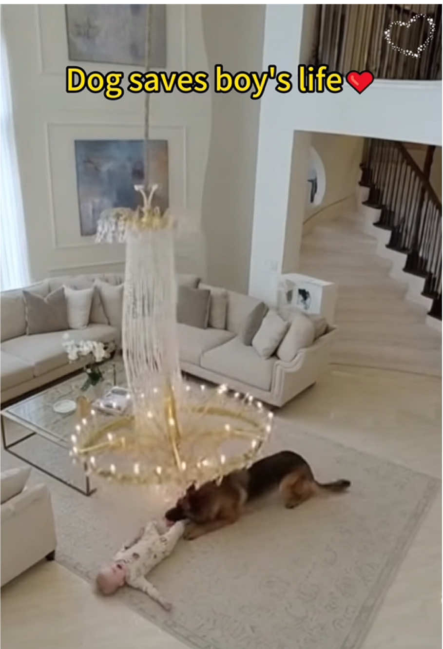 Good dog and baby 🥹#dog #baby #safe #protect #fyp 