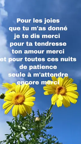 Je te dis Merci Lyrics, Frank Michael #pourtoi #lyric #flowers #lyrics_songs #songs 