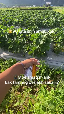 #xyzbca #fyppppppppppppppppppppppp #lombokvirall🌴🌴 #storywa #lombokkatakata 