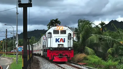 Beda pulau beda ciri khas 🔥 #fyp #keretaapiindonesia #railfansindonesia #railways #trend 