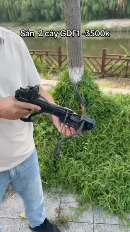 Săn  2 cây GDF1 -3500 