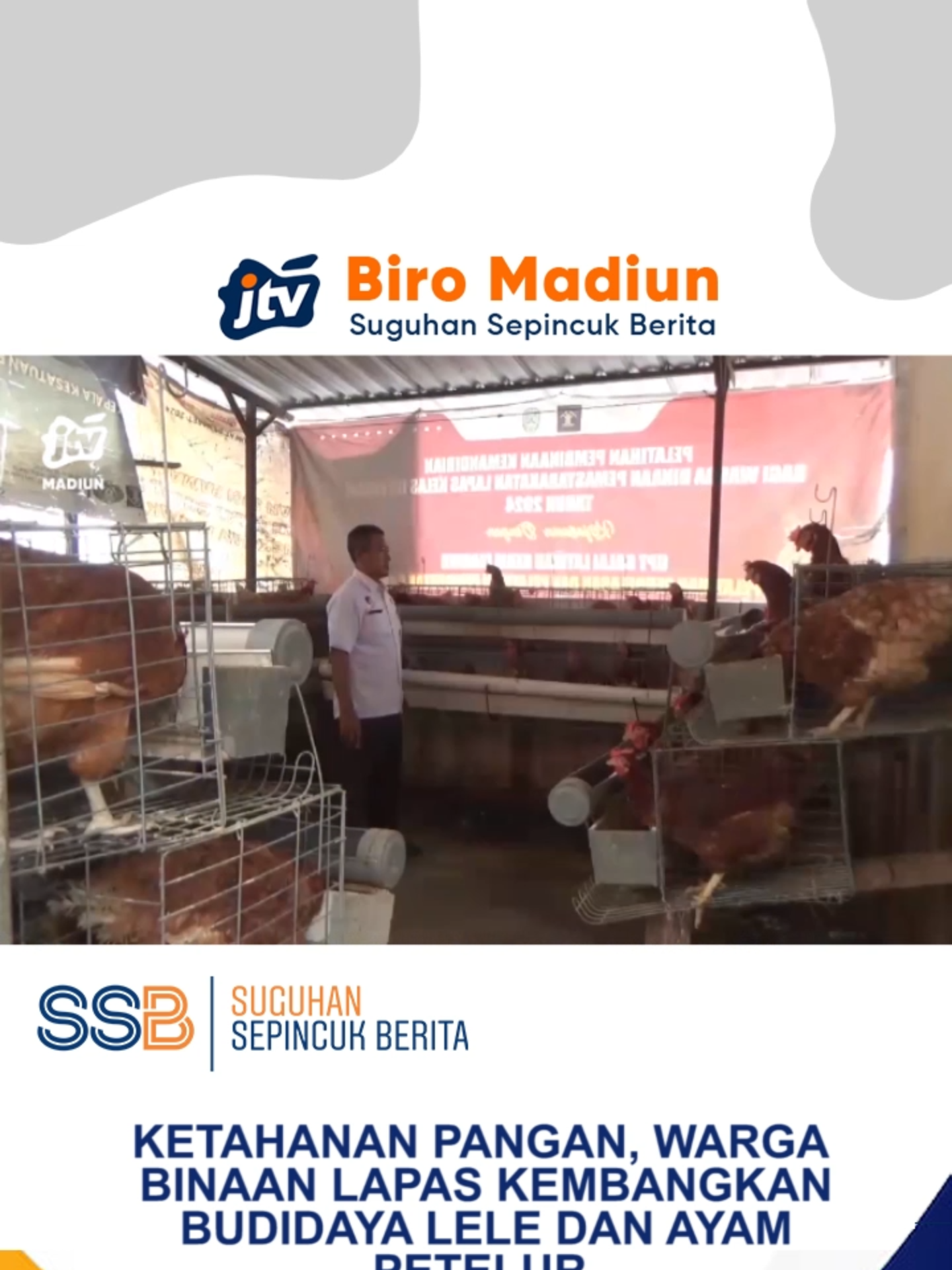 NGAWI - Lapas Kelas IIB Ngawi dukung program ketahanan pangan dengan memberdayakan warga binaan melalui kegiatan peternakan dan pertanian. Warga binaan mengelola kolam lele, kandang ayam petelur, serta lahan pertanian seluas 4,6 hektare untuk menanam pepaya, pisang, dan kopi, dengan bimbingan petugas. Hasilnya tidak hanya memenuhi kebutuhan di lapas, tapi juga dimanfaatkan untuk kegiatan sosial masyarakat.Kegiatan ini sekaligus memberi bekal keterampilan agar warga binaan dapat hidup mandiri dan berkontribusi positif setelah bebas.#Ngawi #LapasNgawi #KetahananPangan #Pertanian #Peternakan #WargaBinaan