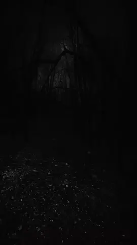 #تصميم_فيديوهات🎶🎤🎬 #مشاهير_تيك_توك_مشاهير_العرب #cat #frppppppppppppfyp #الجزائر🇩🇿_تونس🇹🇳_المغرب🇲🇦 