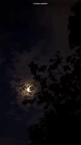 Hmdasi kwo kana?🌛             #foryou #pashto #pashtopoetry #repost #i9ote1 #unfreezemyacount 