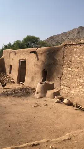 #بازار ویکادے ببکے تیرےقدم  قدم توں صدقے#مانی💫💘 #foryoupage❤️❤️ #viralvideo #کسی_کی_عادت_ہو_جانا_بہت_ازیت_دیتا_ہے  