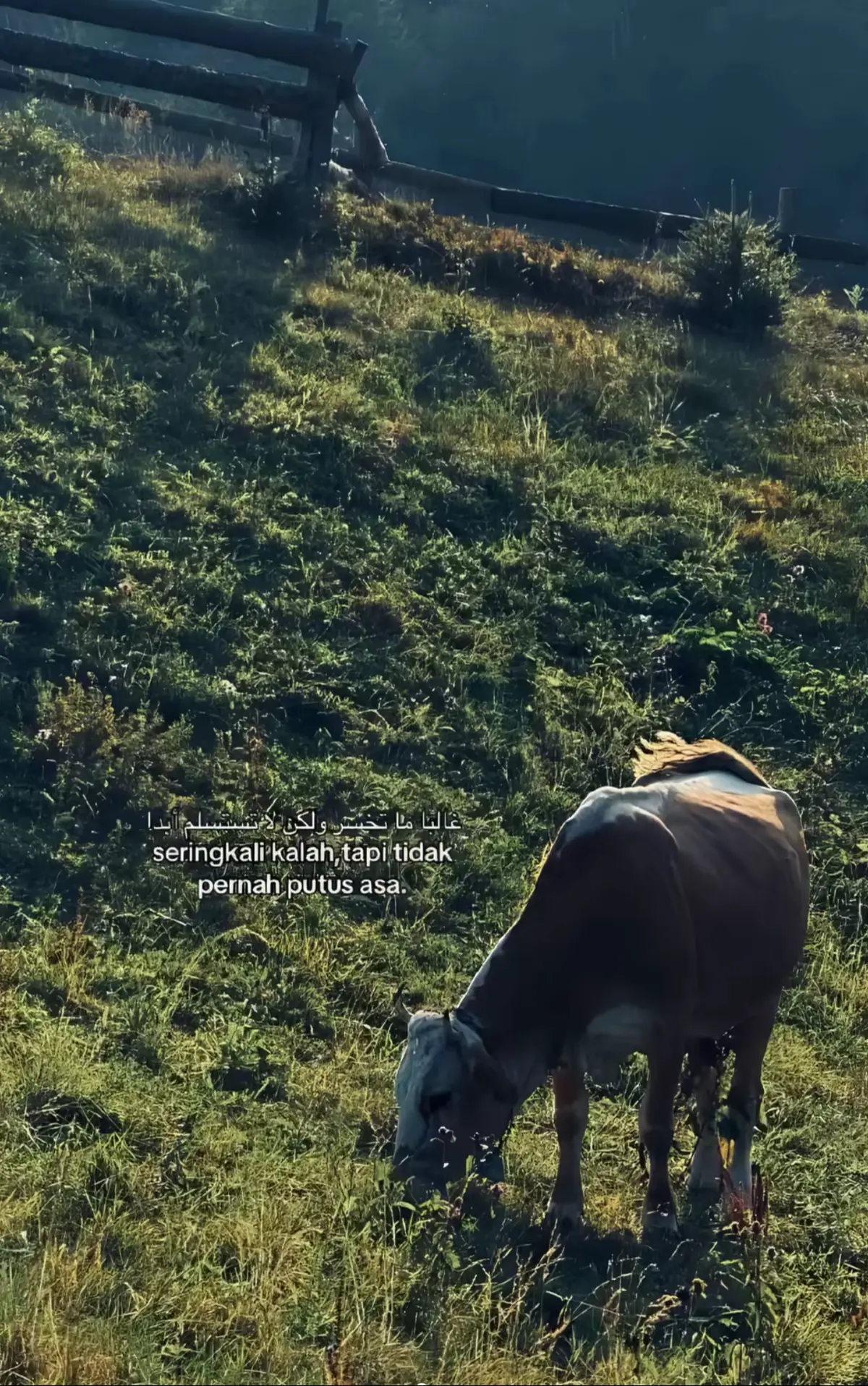 #kiperfutsal #futsal #goalkeepers #futsalstory #beraukaltim 