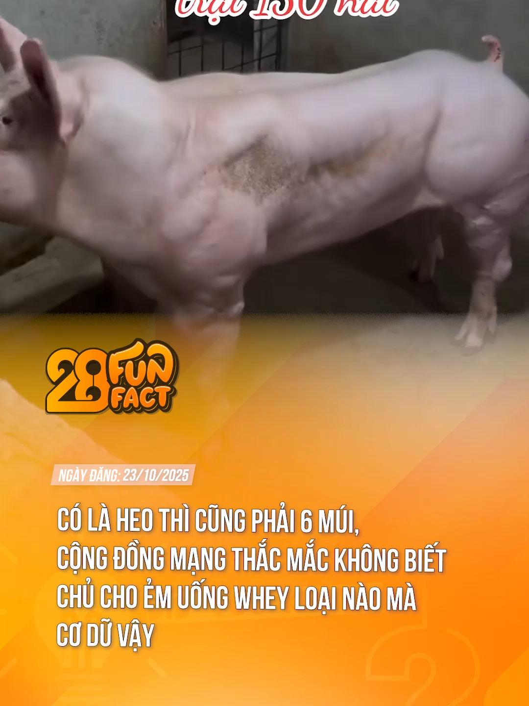 CƠ BẮP QUÁ  #theanh28 #theanh28news #tiktoknews #theanh28funfact