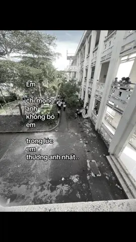 #xuhuongtiktok #viral #capbuon #tamtrang #tinhyeu 