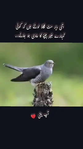 #viralvideo #likesforyou #following #views #likes 