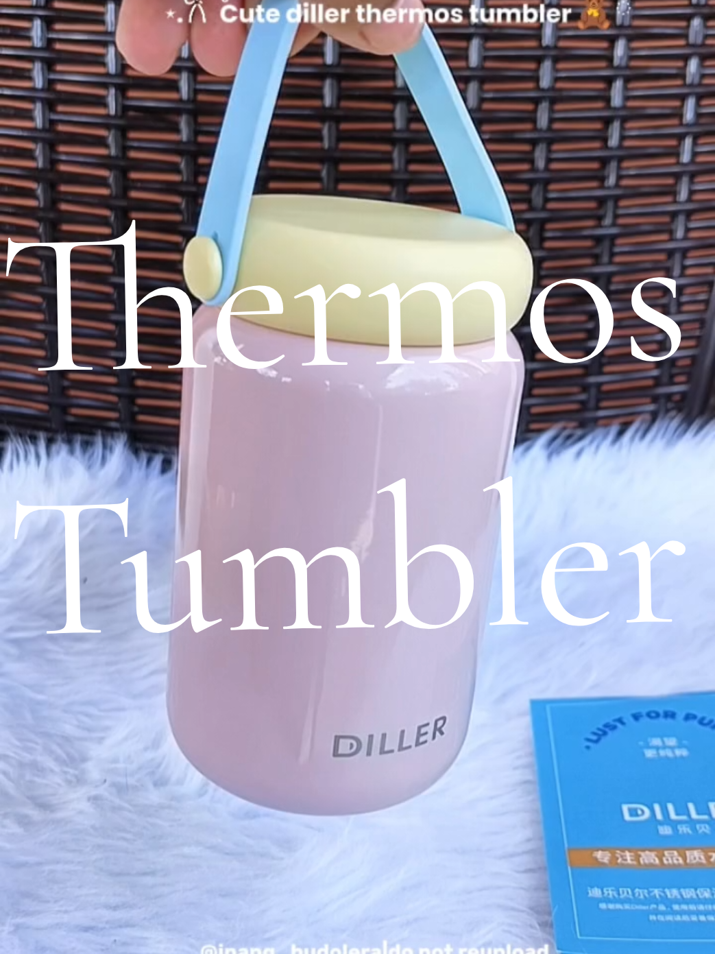 So cute this 280ml Diller Thermos with handle #thermos #tumbler #dillertumbler #fyp #minitumbler 