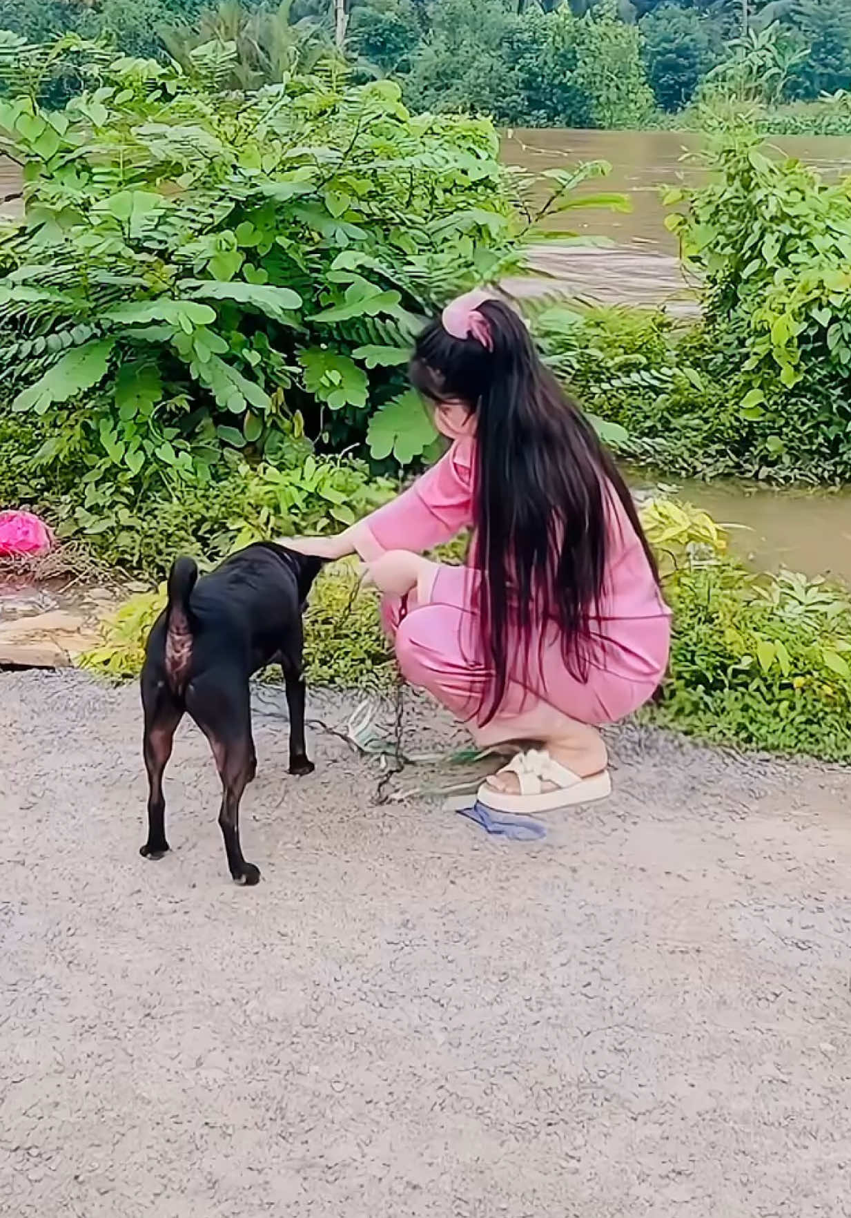 Trả lời @Vy Vy Chiều Quê Thật Yên Bình #côgáibáncăntin #quỳnhlê_95 #gáimiềntây #95haugiang 