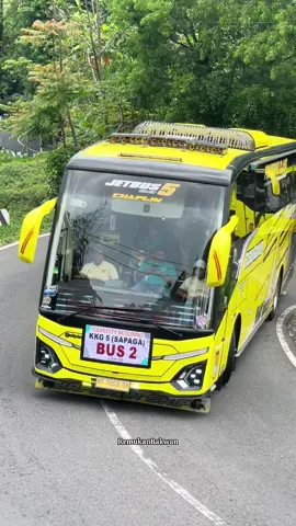 Tisal Group Chaplin x Madaihuna x Belleza