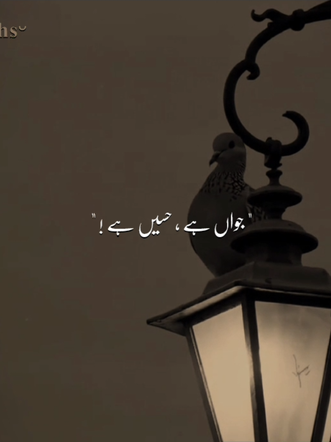میں زندہ ہوں لیکن ، کہاں زندگی ہے؟ ..  #fyp #illegurl_v #unfreezemyacount #goviral #viral 