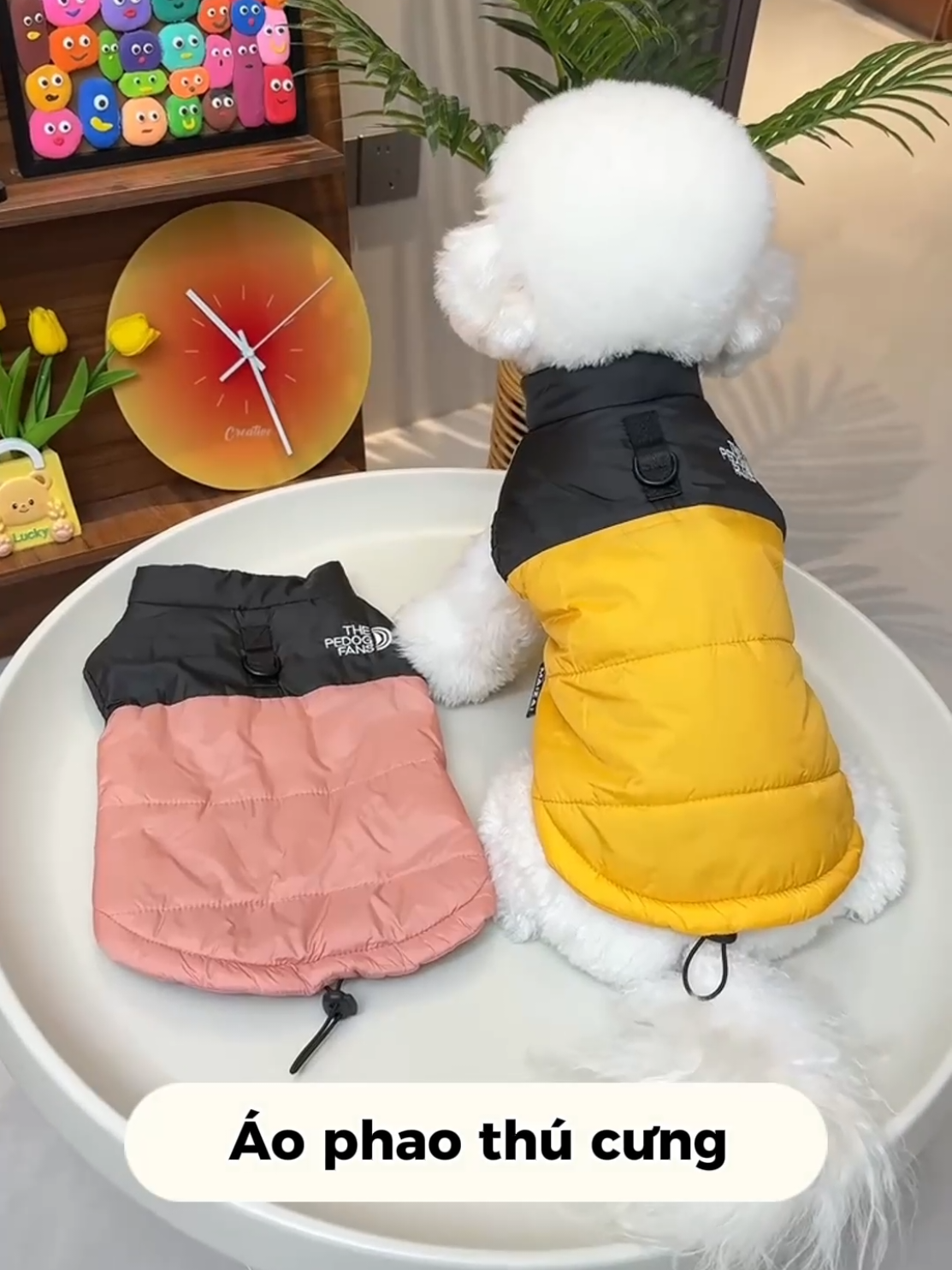 Áo phao cho chó mèo #dog #poodle #yeuchomeo #aophaothucung #aochomeo