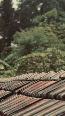 මේක ඔයාට Admin ළමයෝ ❤️‍🩹! #themiii_page #background #backgroundvideo #quotes #foryou 