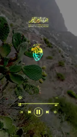 #CapCut #قران_كريم #الحساب_الرسمي_على_تيك_توك #محمد_رسول_الله #محمد_@القرأن حياة Quran is life 