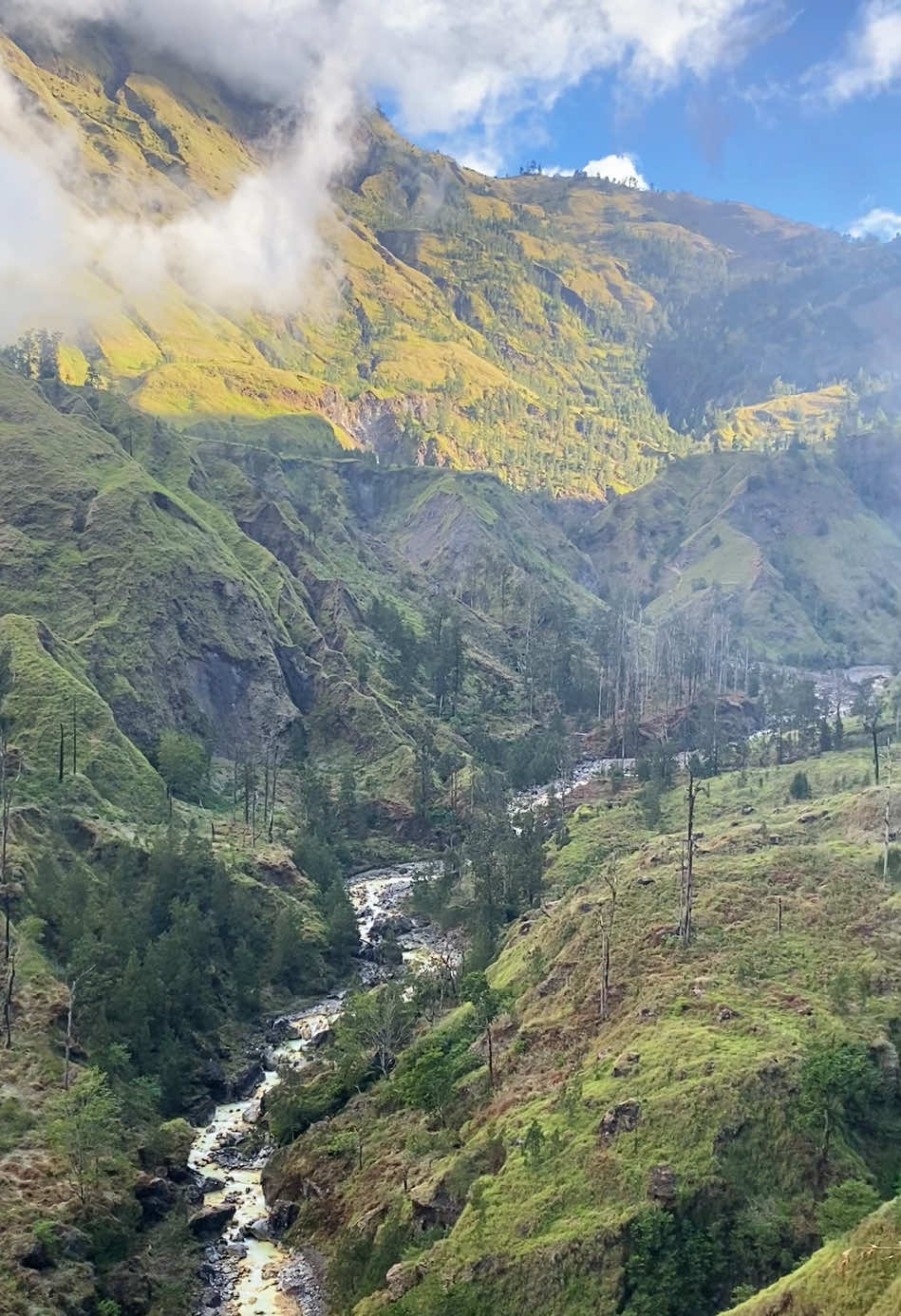Jalur favoritnya para pendaki gunung rinjani. #lomboktraveler_ #fyp #rinjani #lombok #pendakigunung 