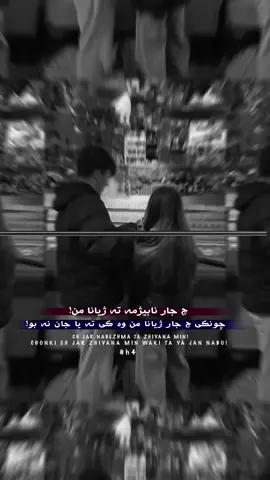 New👀#7amko0oh #zeriland✈️ #kurdistan #fyyyy #boxing 