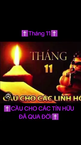#CapCut Tháng 11-CẦU CHO CÁC LINH HỒN#thanhca #cauchocaclinhhon 