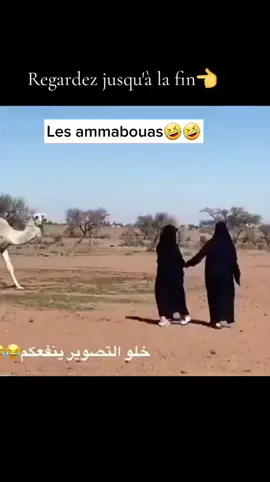 #تشاد🇹🇩_قطر_🇶🇦_الكويت #بيربور_حول_العاام🌏 #شعب_الصيني_ماله_حل😂😂 