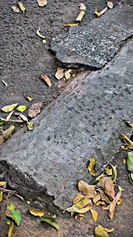 🔥#r15v3 #fyp #foryou #malang #r15v3lovers 