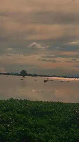 Chiều quê mùa nước nổi #xuhuongtiktok 