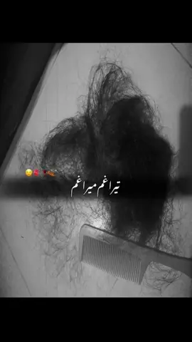 Stop Hair Fall & Get Fast Hair Regrowth Naturally!”Best Herbal Hair Oil for Hair Fall Control & Fast Regrowth | Muskan Herbals Review”♥️✨ hair fall solution, hair regrowth oil, muskan herbals hair oil, best hair oil for hair growth, ayurvedic hair oil for regrowth, herbal hair oil for women, natural hair fall control oil, fast hair growth oil, organic hair oil for men, hair thinning remedy, scalp nourishment oil, stop hair fall instantly, hair oil for long thick hair, herbal remedy for baldness, hair regrowth treatment oil, non sticky hair oil, paraben free hair oil, muskan herbal products, ayurvedic hair care, best herbal oil in Pakistan, natural hair growth serum, anti hair fall herbal oil, hair growth booster oil, onion oil alternative, coconut based herbal oil, ayurvedic remedy for hair loss, muskan hair regrowth, herbal hair tonic, fast hair regrowth formula, 100% herbal hair oil #MuskanHerbals #HairGrowthOil #HairFallSolution #AyurvedicHairOil #NaturalHairCare      