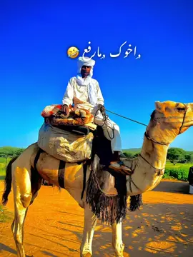 #قوات_الدعم_السريع #جاهزيه_سرعه_حسم🔥✊🥀🇸🇩 #الشعب_الصيني_ماله_حل😂✌️ #สโลว์สมูท @حامد ود الرضي @الزئب الحزين 💔💔🔥 @ابو الجدي ودالرضي💝💝💝 @حربي @ود الرضي الثوري👁🥷✌️☠️ @حسين عيسى مسار @ود الرضى🕳.  R.  S.  F 