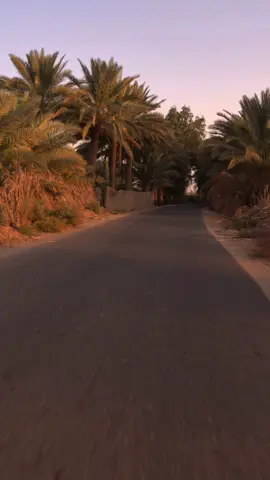 قصيده حزن يعقوب. للشيخ صالح الكواز