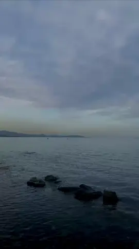 #VNVideoEditor #الحياة مع النرجسي 