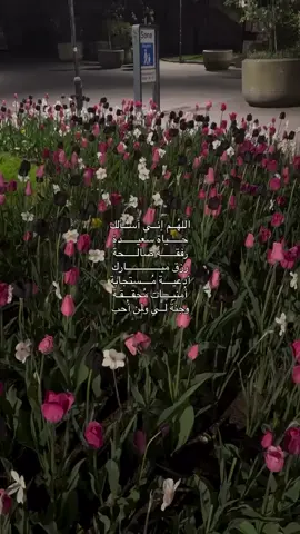 #اللهم اجعلنا من الذين يغفر لهم، ويستبدل سيئاتهم حسنات 🍃#قران_كريم #اللهم_صل_على_محمد_وآل_محمد  #مالي_خلق_احط_هاشتاقات #عائشه 