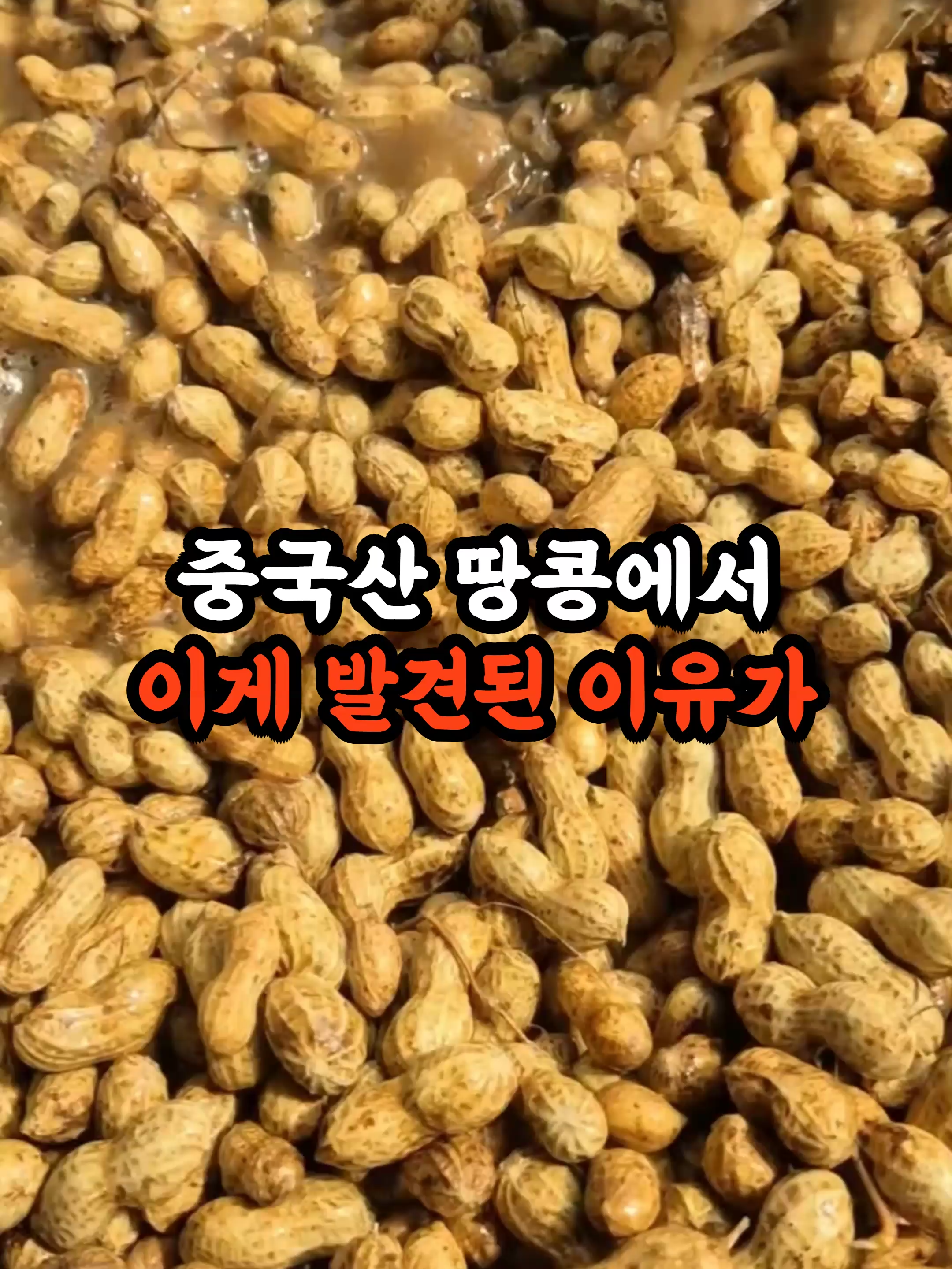 중국산 땅콩에서 이게 발견된 이유가 소름 돋아요 #실제사연 #중국 #한국 #fyp