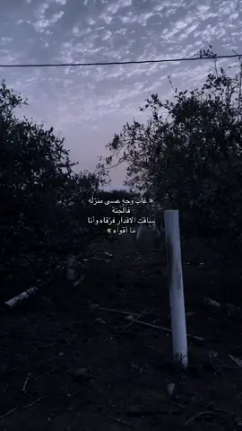 #صدقه_جاريه #quran #قران_كريم #foryoupage #viral 