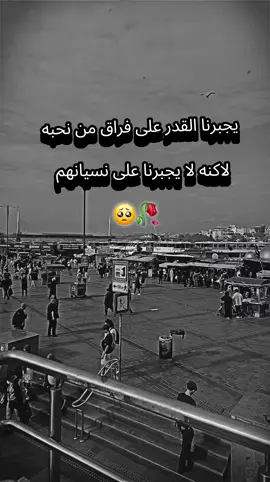 يجبرنا القدر على فراق من نحب لاكنه لا يجبرنا على نسيانهم..🥀🥀🥀🥀