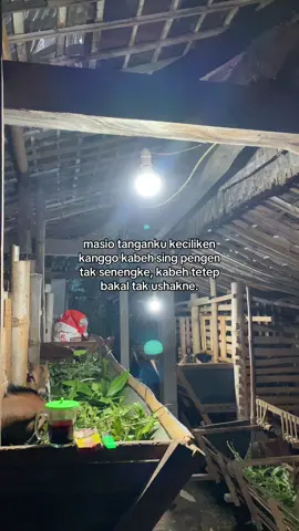 #pemulabarubelajar #peternakmuda #peternakmilenial #mburiomahofficial #fypシ゚viral 